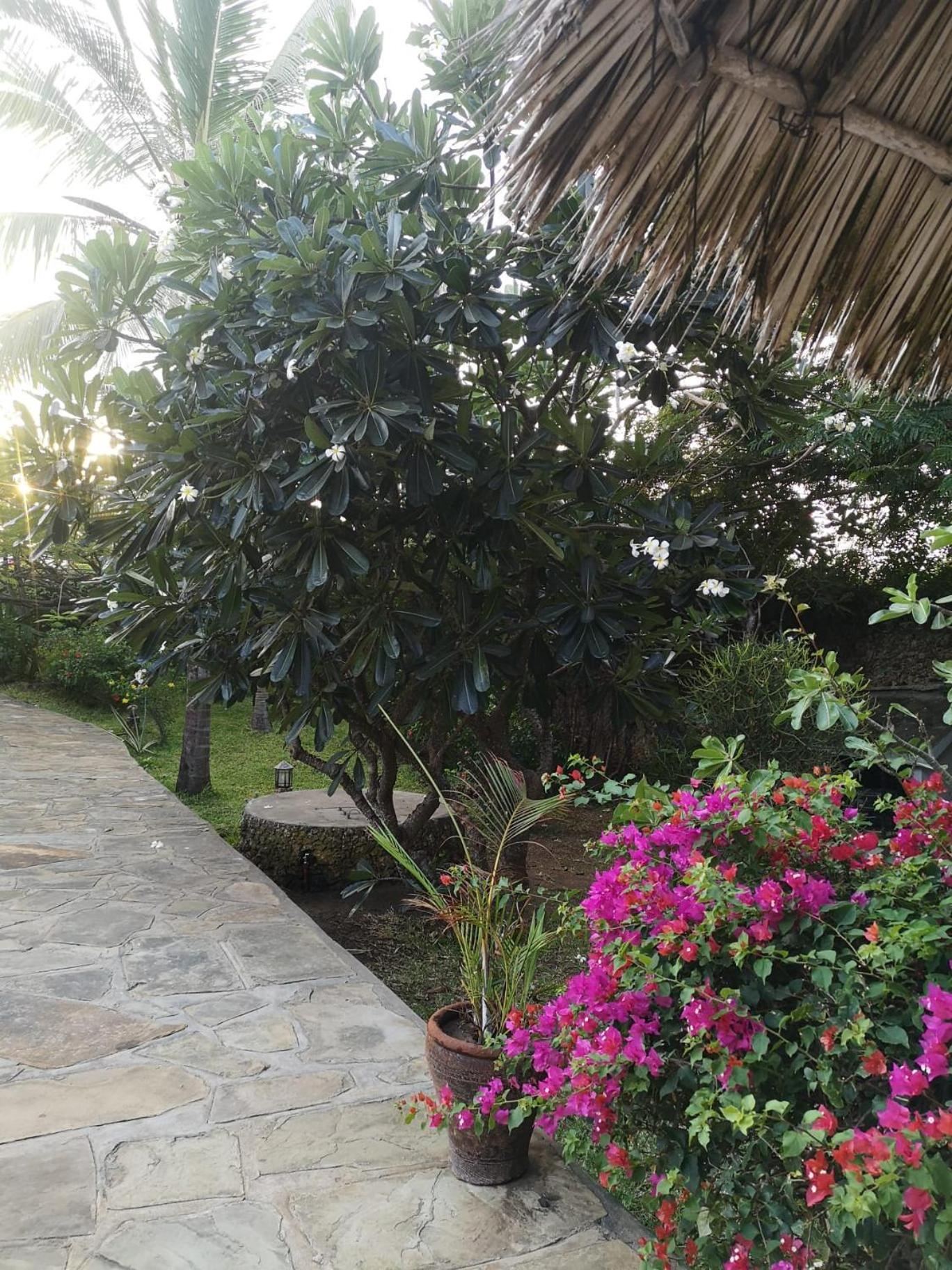 Villa Fulvia House Malindi Exterior foto
